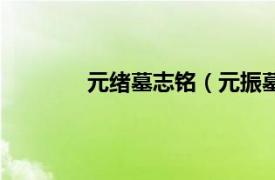 元绪墓志铭（元振墓志相关内容简介介绍）