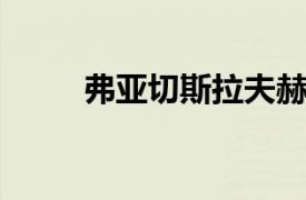 弗亚切斯拉夫赫莱布相关内容介绍