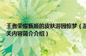 王者荣耀甄姬的皮肤游园惊梦（游园惊梦 手游《王者荣耀》中甄姬皮肤相关内容简介介绍）