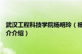 武汉工程科技学院杨明玲（杨明生 湖北工程学院教授相关内容简介介绍）