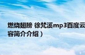 燃烧翅膀 徐梵溪mp3百度云（燃烧翅膀 徐梵溪演唱歌曲相关内容简介介绍）