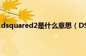 dsquared2是什么意思（DSQUARED2相关内容简介介绍）