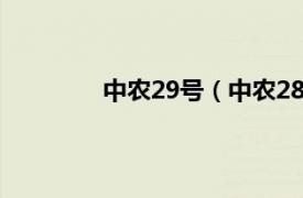 中农29号（中农28号相关内容简介介绍）