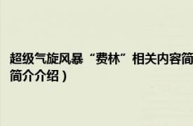 超级气旋风暴“费林”相关内容简介介绍（超级气旋风暴“费林”相关内容简介介绍）