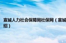 宣城人力社会保障局社保网（宣城市人力资源和社会保障局相关内容简介介绍）