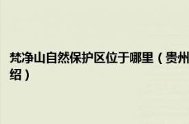 梵净山自然保护区位于哪里（贵州梵净山国家级自然保护区相关内容简介介绍）