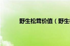 野生松茸价值（野生松茸相关内容简介介绍）