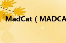 MadCat（MADCATZ相关内容简介介绍）