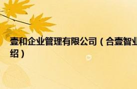 壹和企业管理有限公司（合壹智业品牌管理 上海有限公司相关内容简介介绍）