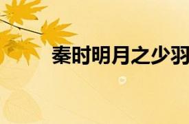 秦时明月之少羽相关内容简介介绍