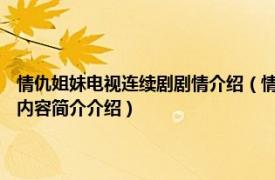 情仇姐妹电视连续剧剧情介绍（情仇姐妹 2012年中国大陆电视连续剧相关内容简介介绍）