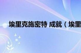 埃里克施密特 成就（埃里克施密特相关内容简介介绍）