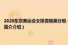 2020东京奥运会女排资格赛分组（2020年东京奥运会女排资格赛相关内容简介介绍）