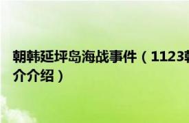 朝韩延坪岛海战事件（1123朝鲜韩国延坪岛交火事件相关内容简介介绍）