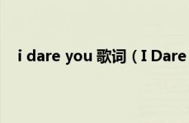 i dare you 歌词（I Dare You 歌曲相关内容简介介绍）