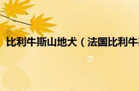 比利牛斯山地犬（法国比利牛斯山向导猎犬相关内容简介介绍）