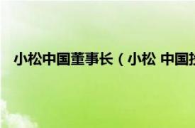 小松中国董事长（小松 中国投资有限公司相关内容简介介绍）