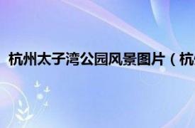 杭州太子湾公园风景图片（杭州太子湾公园相关内容简介介绍）