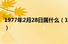 1977年2月28日属什么（1977年2月28日相关内容简介介绍）