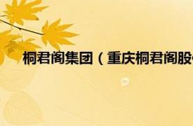 桐君阁集团（重庆桐君阁股份有限公司相关内容简介介绍）