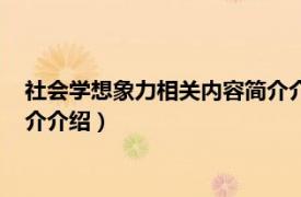 社会学想象力相关内容简介介绍人物（社会学想象力相关内容简介介绍）