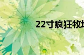 22寸疯狂牧场相关内容介绍