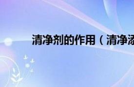 清净剂的作用（清净添加剂相关内容简介介绍）