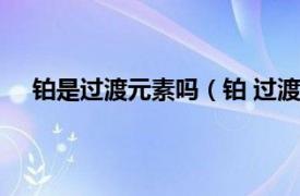 铂是过渡元素吗（铂 过渡金属元素相关内容简介介绍）