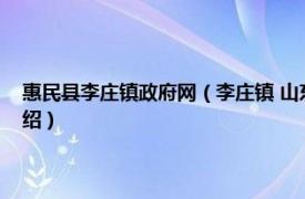 惠民县李庄镇政府网（李庄镇 山东省滨州市惠民县下辖镇相关内容简介介绍）