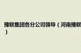 豫联集团各分公司领导（河南豫联能源集团有限责任公司相关内容简介介绍）