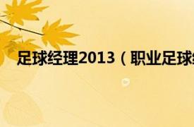 足球经理2013（职业足球经理2006相关内容简介介绍）