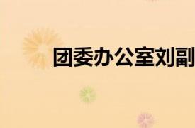 团委办公室刘副主任相关内容简介