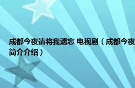 成都今夜请将我遗忘 电视剧（成都今夜请将我遗忘 2007年秦海璐主演电视剧相关内容简介介绍）