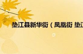 垫江县新华街（凤凰街 垫江县凤凰街相关内容简介介绍）