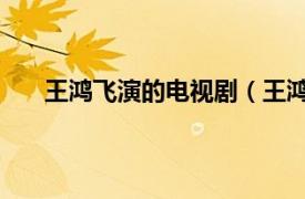 王鸿飞演的电视剧（王鸿飞 导演相关内容简介介绍）