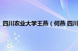 四川农业大学王燕（何燕 四川农业大学讲师相关内容简介介绍）