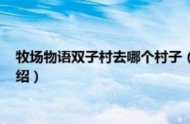 牧场物语双子村去哪个村子（牧场物语：双子村相关内容简介介绍）