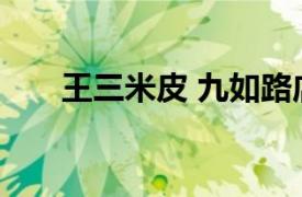 王三米皮 九如路店相关内容简介介绍