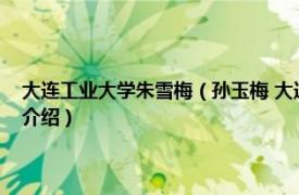 大连工业大学朱雪梅（孙玉梅 大连工业大学研究生学院教授相关内容简介介绍）