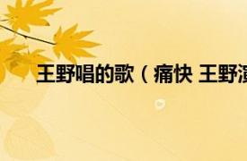 王野唱的歌（痛快 王野演唱歌曲相关内容简介介绍）