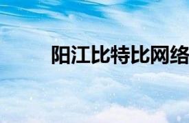 阳江比特比网络科技有限公司简介