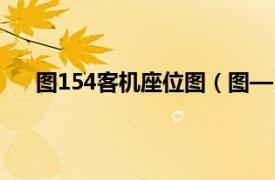 图154客机座位图（图—154客机相关内容简介介绍）