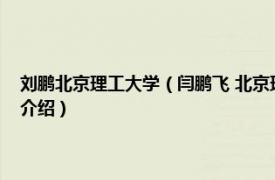 刘鹏北京理工大学（闫鹏飞 北京理工大学外国语学院副教授相关内容简介介绍）