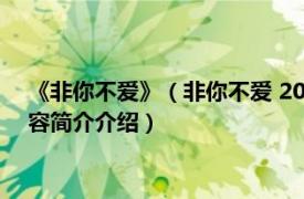 《非你不爱》（非你不爱 2015年青岛出版社出版的图书相关内容简介介绍）