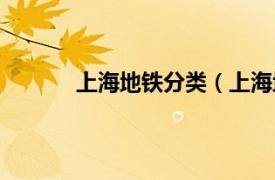 上海地铁分类（上海地铁相关内容简介介绍）