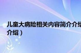 儿童大病险相关内容简介介绍怎么写（儿童大病险相关内容简介介绍）