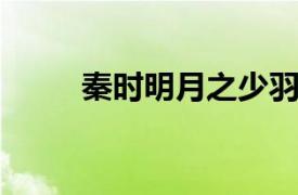 秦时明月之少羽相关内容简介介绍