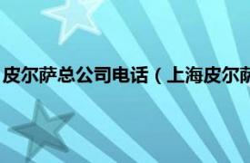 皮尔萨总公司电话（上海皮尔萨实业有限公司相关内容简介介绍）