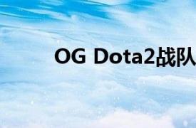 OG Dota2战队相关内容简介介绍