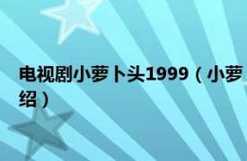 电视剧小萝卜头1999（小萝卜头 1999年儿童剧相关内容简介介绍）